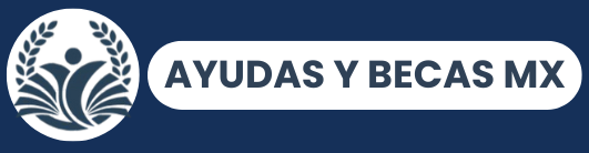 ayudasybecasmx.com